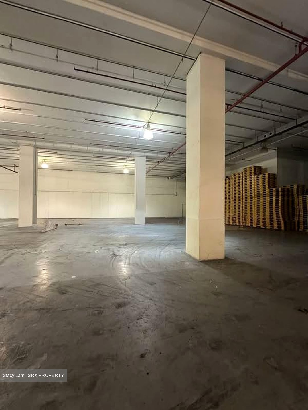 Pioneer Road (D22), Warehouse #546925091
